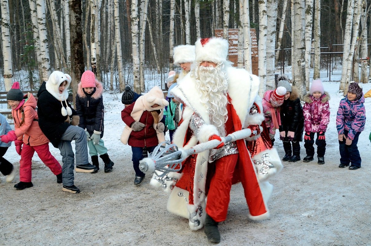 Австерия, фото 6